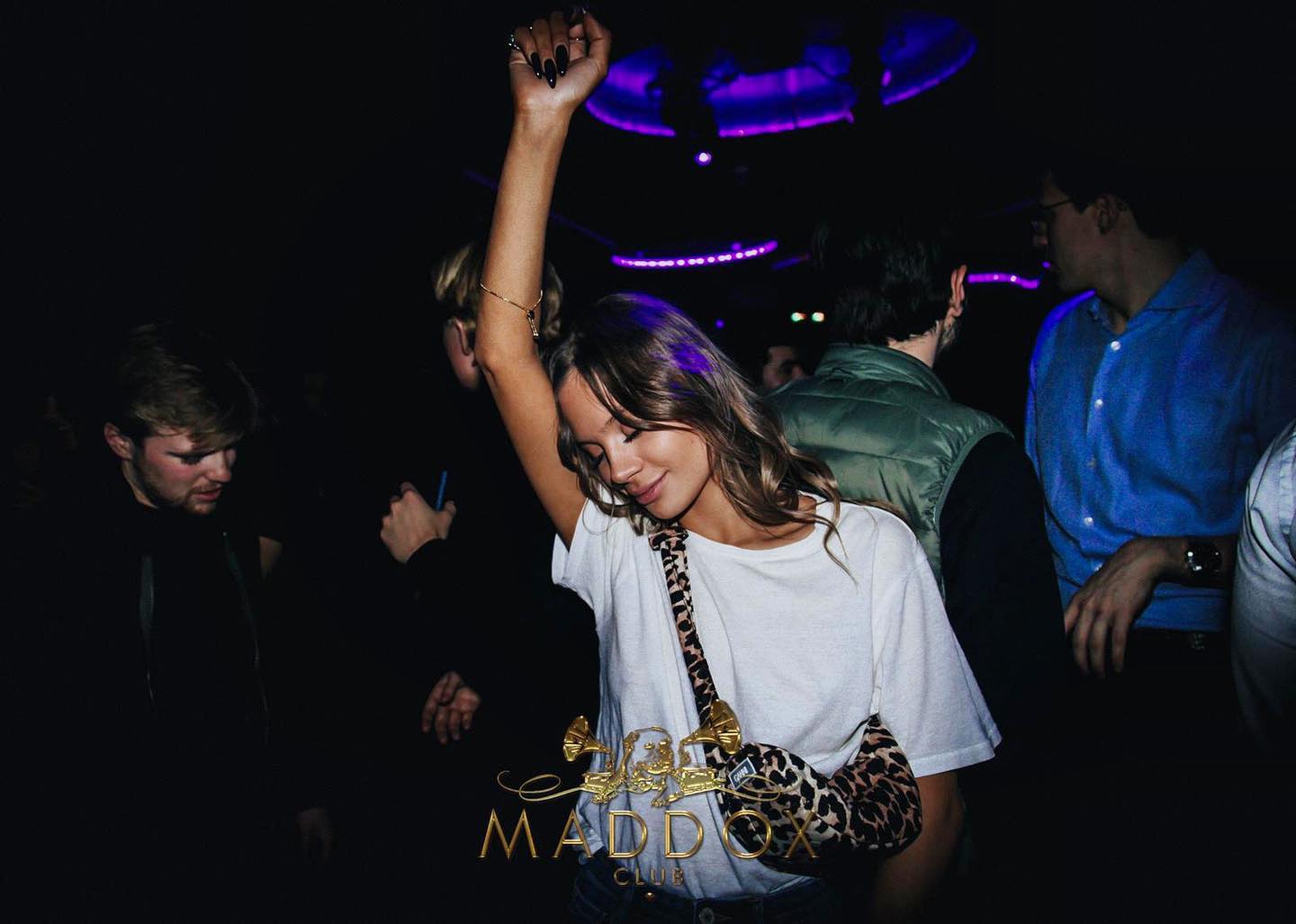 Maddox Party