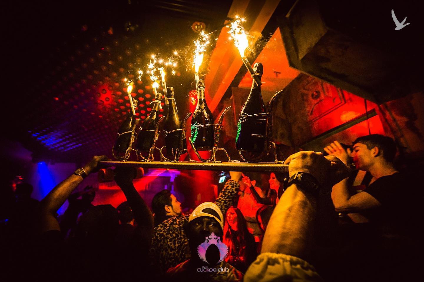 Bottle Cuckoo London